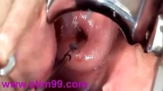 Asian Porn 27